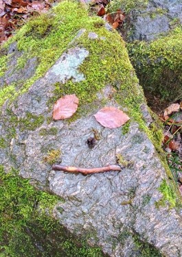 Gesicht aus Blättern, Projekttag